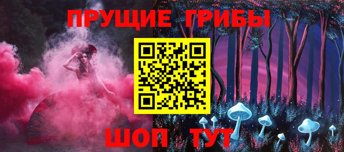 Псилоцибиновые грибы Psilocybe Выкса