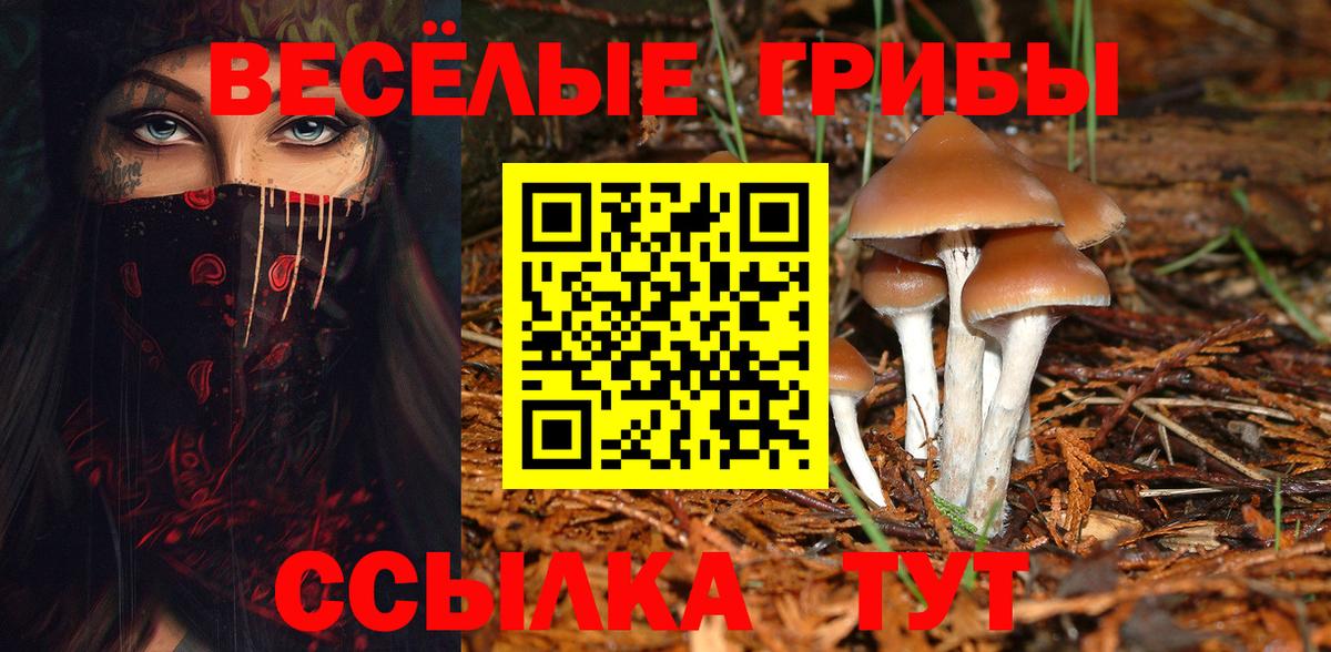 Галлюциногенные грибы Psilocybine cubensis  Вход с VPN  Выкса 
